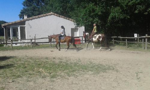 Imagen 3 de 12
