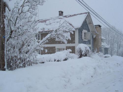 Imagen 3 de 30