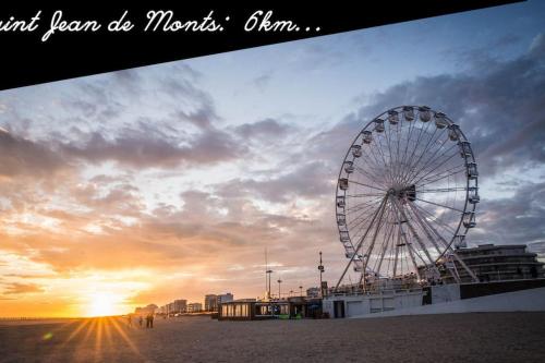 Imagen 5 de 18