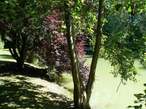 Imagen 4 de 78