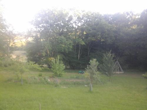 Imagen 3 de 18