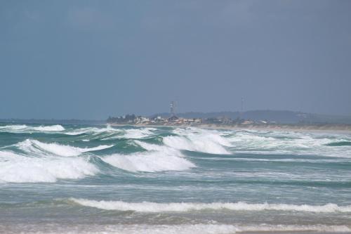 Imagen 4 de 24