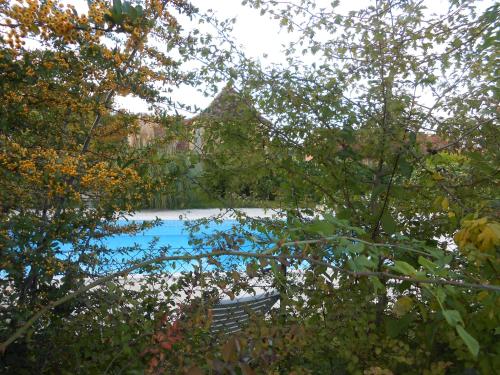Imagen 2 de 26