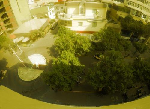 Imagen 3 de 13