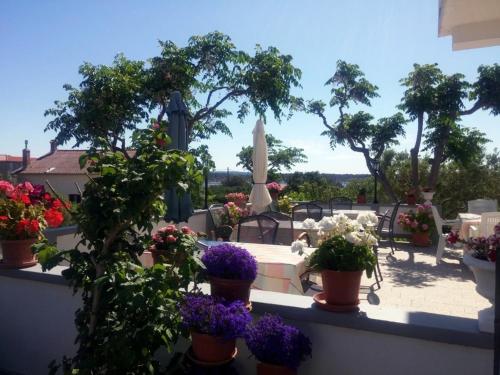 Imagen 5 de 6
