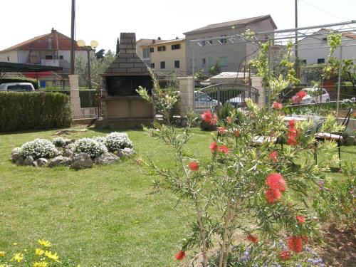 Imagen 3 de 25