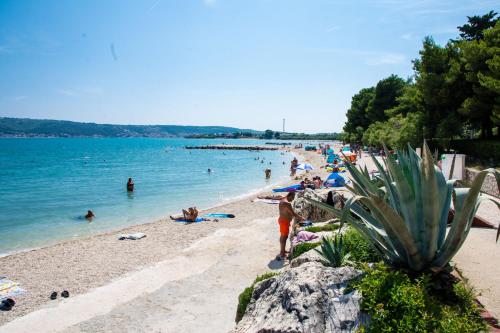 Imagen 2 de 44