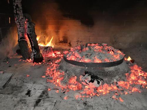 Imagen 5 de 50