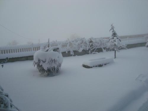 Imagen 4 de 42