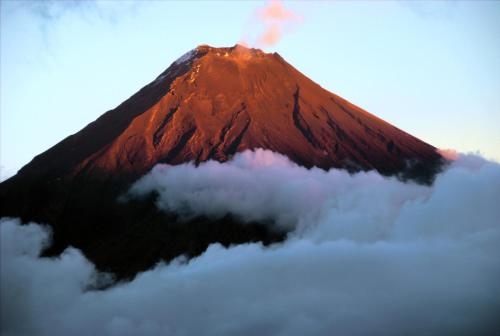 Imagen 4 de 55