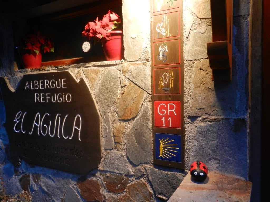 Imagen 5 de 15
