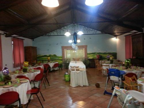Imagen 1 de 12