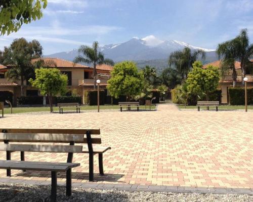 Imagen 2 de 21