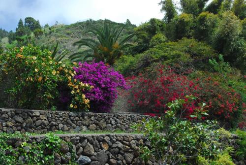 Imagen 3 de 13