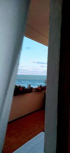 Imagen 1 de 19