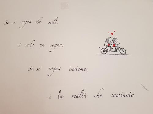 Imagen 4 de 26