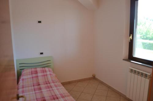 Imagen 3 de 18