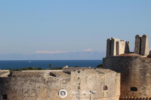 Imagen 3 de 8