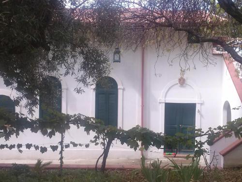 Imagen 3 de 21