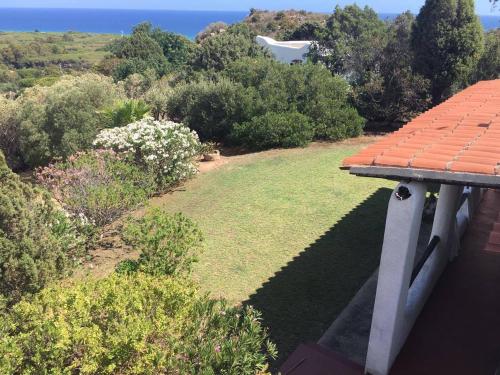 Imagen 4 de 29