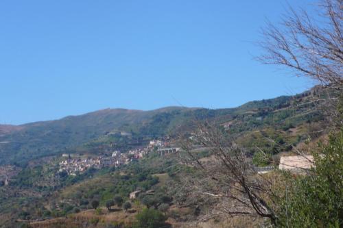 Imagen 5 de 25