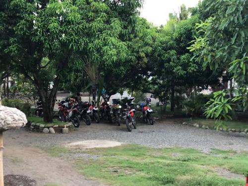 Imagen 2 de 249
