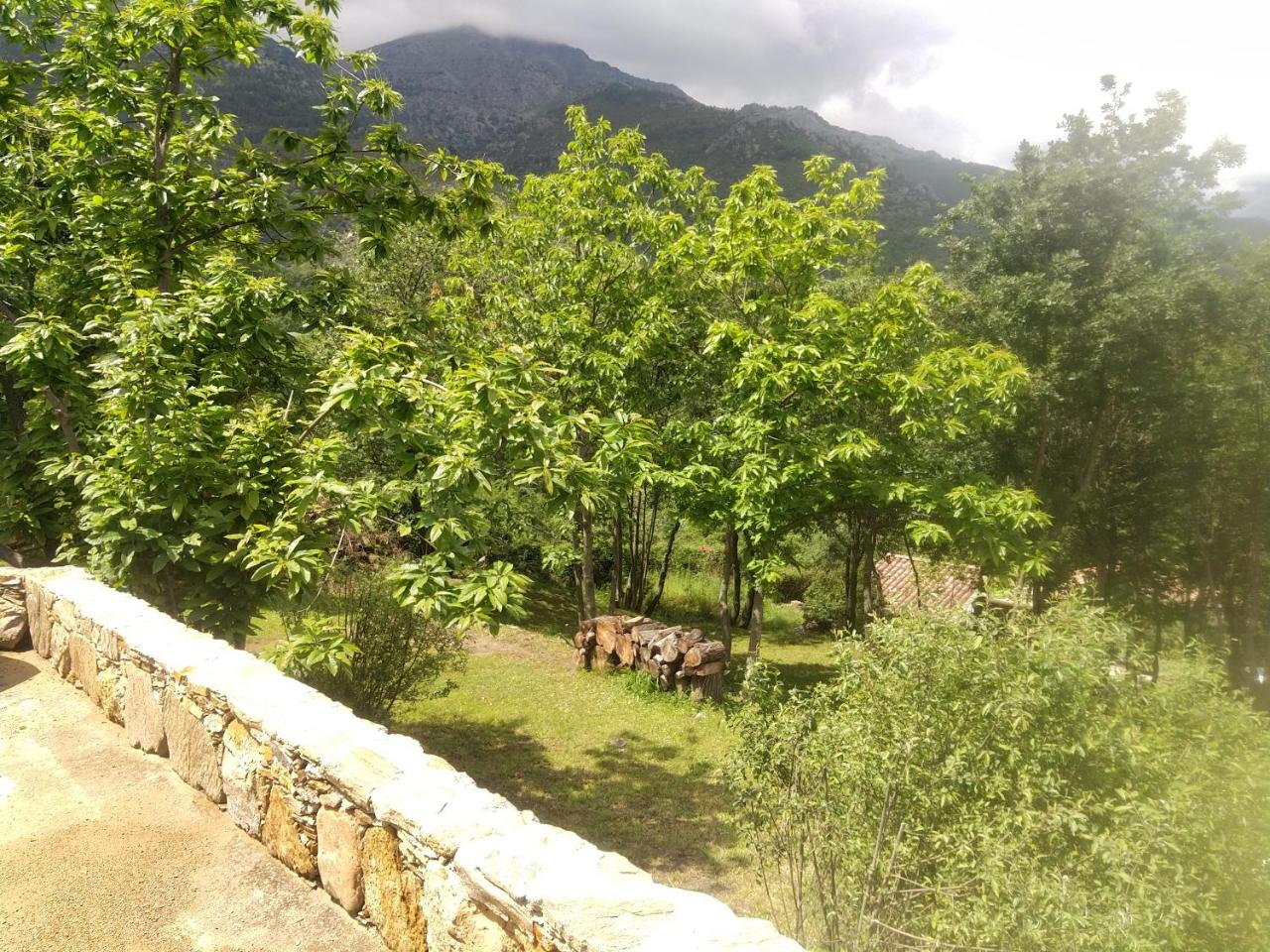 Imagen 2 de 24