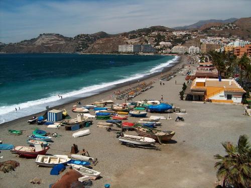 Imagen 3 de 14