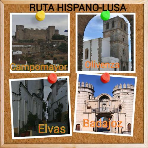Imagen 3 de 23