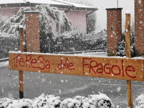 Imagen 4 de 23