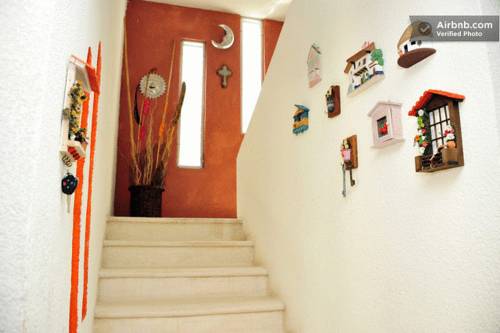 Imagen 4 de 16