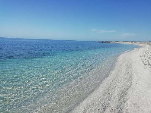 Imagen 1 de 28