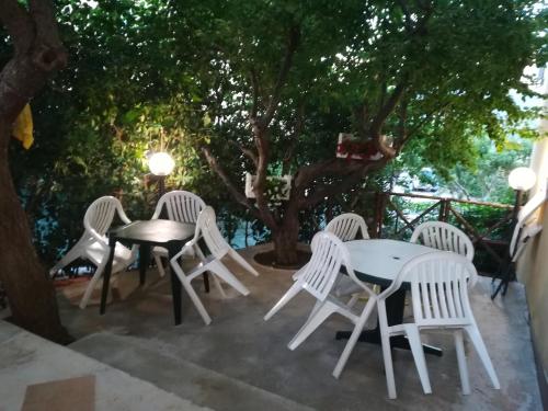 Imagen 3 de 37