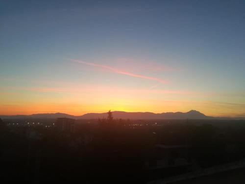 Imagen 1 de 8