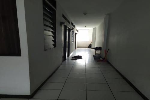 Imagen 5 de 8
