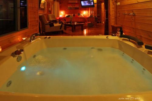 Imagen 5 de 13