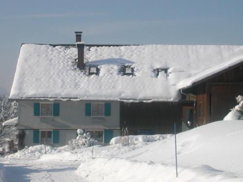 Imagen 1 de 16