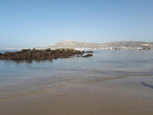 Imagen 2 de 42