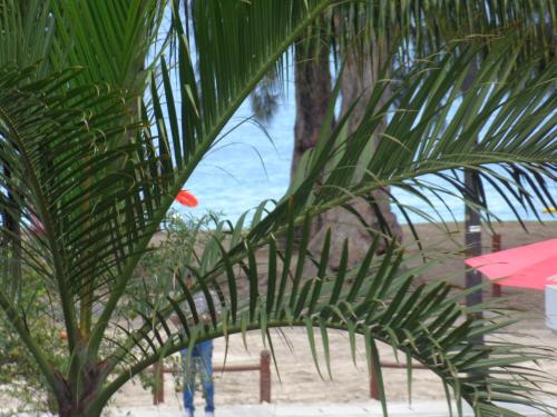 Imagen 2 de 21