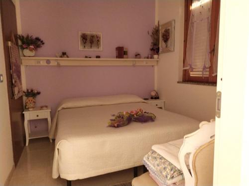 Imagen 2 de 12