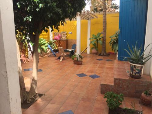 Imagen 2 de 15