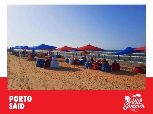 Imagen 1 de 12