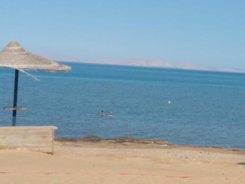 Imagen 2 de 8