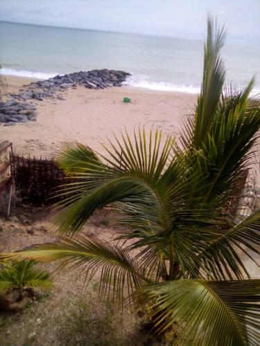 Imagen 3 de 6