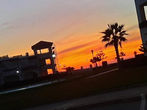Imagen 3 de 17