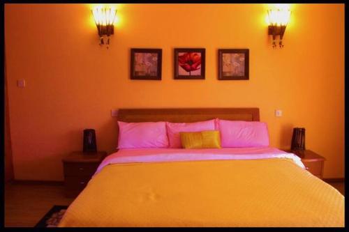 Imagen 3 de 24
