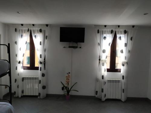 Imagen 3 de 19