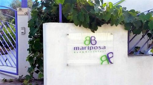 Imagen 5 de 12