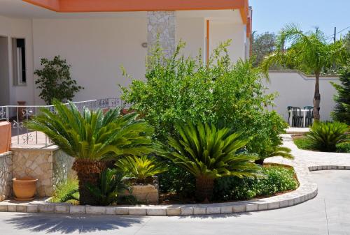 Imagen 4 de 22