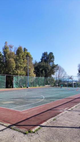 Imagen 4 de 5